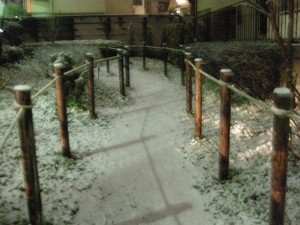 f:id:tikuwa1:20100309205548j:image