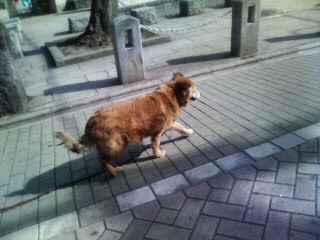 f:id:tikuwa1:20110225135700j:image