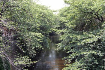 f:id:tikuwa1:20110521102333j:image