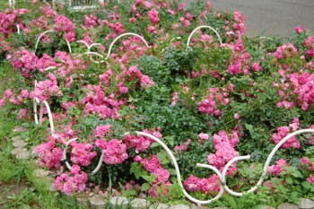 f:id:tikuwa1:20110612100932j:image