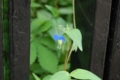 20110612101800