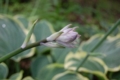 20110619120824