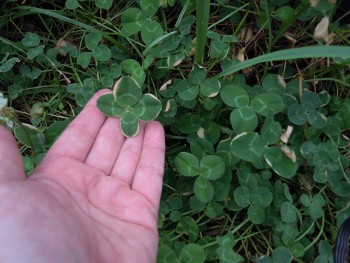 f:id:tikuwa1:20110820122011j:image