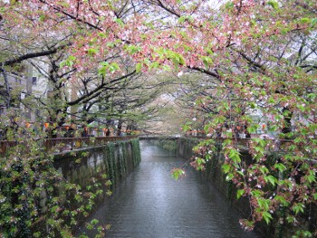 f:id:tikuwa1:20120414101900j:image