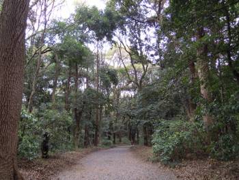 f:id:tikuwa1:20120421105115j:image