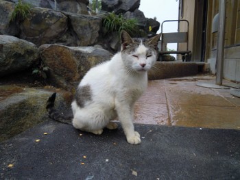 f:id:tikuwa1:20120721122854j:image