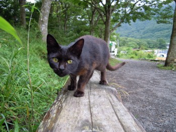 f:id:tikuwa1:20120721132830j:image