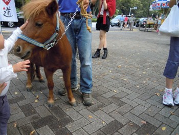 f:id:tikuwa1:20121006104432j:image