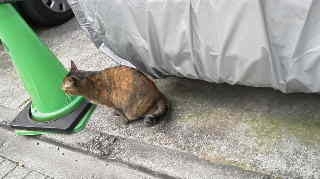 f:id:tikuwa1:20121031112703j:image