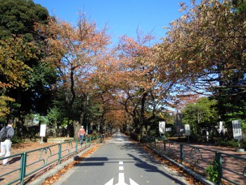 f:id:tikuwa1:20121118094129j:image