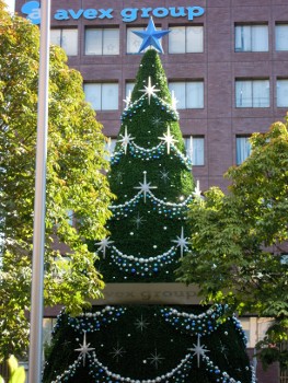 f:id:tikuwa1:20121118103329j:image