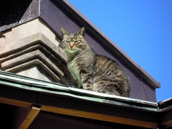 f:id:tikuwa1:20130127105544j:image