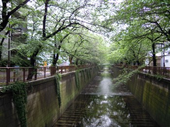 f:id:tikuwa1:20140501100018j:image