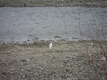 f:id:tikuwa1:20141229151824j:image