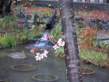 f:id:tikuwa1:20151221085239j:image