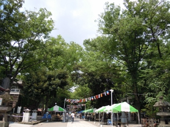 f:id:tikuwa1:20160804125757j:image