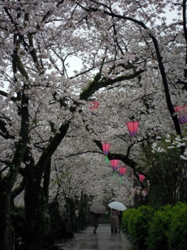 f:id:tikuwa1:20170411113326j:image