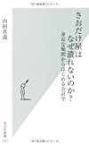 さおだけ屋はなぜ潰れないのか? 身近な疑問からはじめる会計学 (光文社新書)