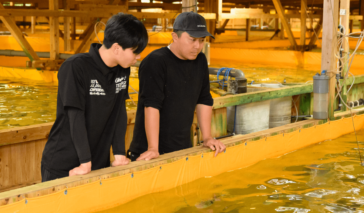 産地に「ゆとり」と「新しい風」を。スポットワークが描く水産業の持続可能な形