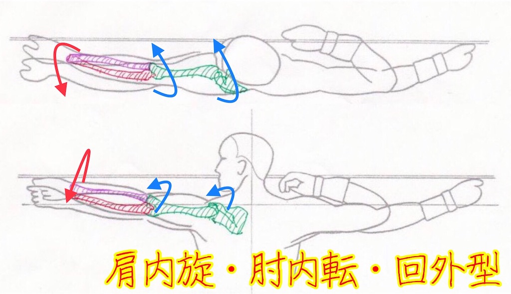 回内 回外の違いとは 弓道考察モノローグ