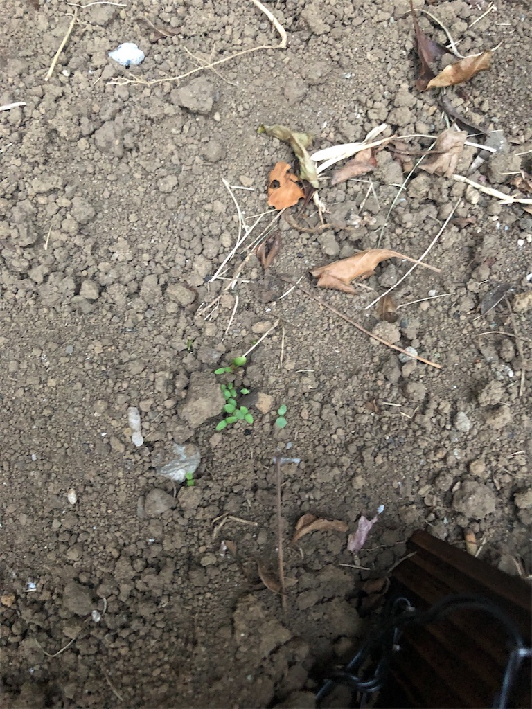 f:id:timefor:20190512183354j:image f:id:timefor:20190512183354j:image