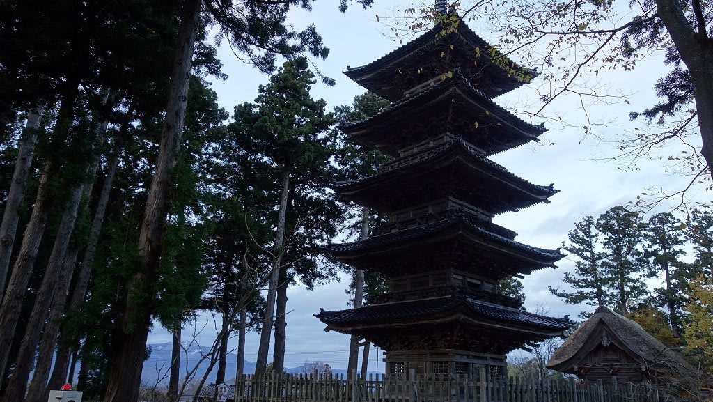 弥彦・佐渡旅行 2日目 トキの森~宿根木~小木 - ありゃりゃサンポ