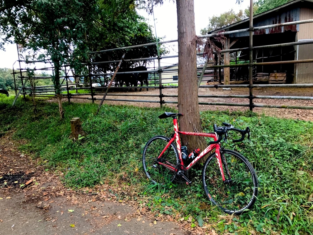 f:id:timevxrs:20181012222735j:plain