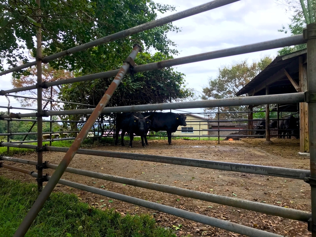 f:id:timevxrs:20181012222818j:plain