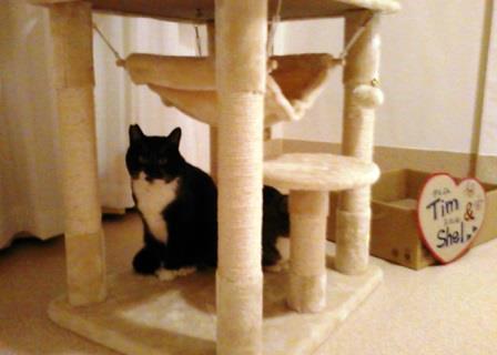 f:id:timshel:20200212220538j:plain