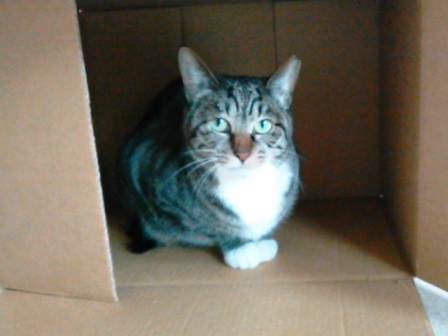 f:id:timshel:20200310131336j:plain