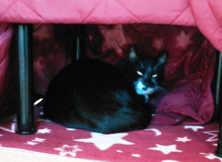 f:id:timshel:20200320182616j:plain f:id:timshel:20200320182616j:plain