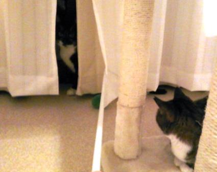 f:id:timshel:20200322234639j:plain f:id:timshel:20200322234639j:plain