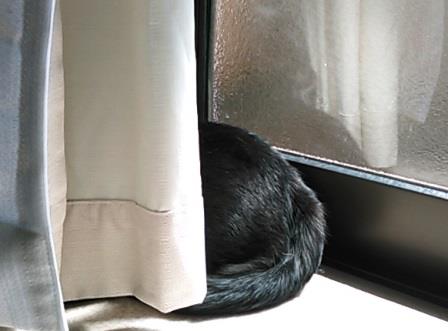 f:id:timshel:20200324170642j:plain