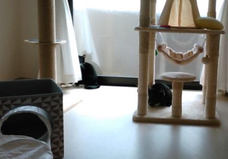 f:id:timshel:20200328230808j:plain f:id:timshel:20200328230808j:plain