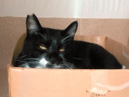 f:id:timshel:20200811035036j:plain f:id:timshel:20200811035036j:plain