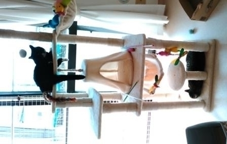 f:id:timshel:20201011190247j:plain
