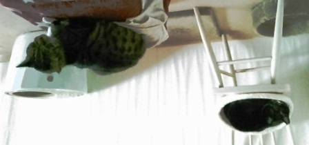 f:id:timshel:20210111173843j:plain