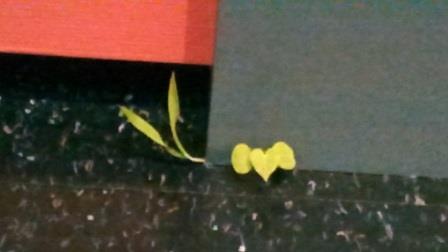 f:id:timshel:20210112204820j:plain