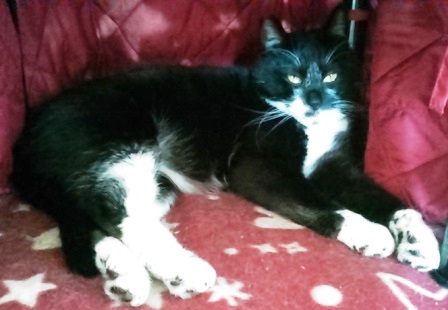 f:id:timshel:20210404132704j:plain