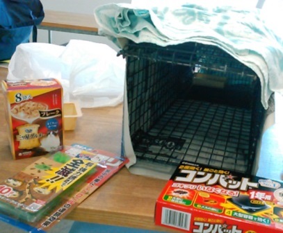 f:id:timshel:20210720004551j:plain