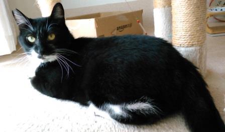 f:id:timshel:20210807152503j:plain