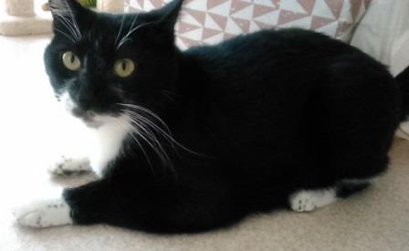 f:id:timshel:20210911195049j:plain