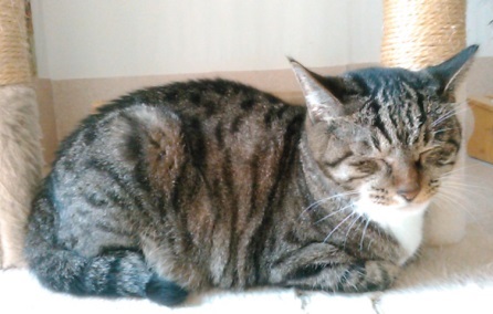 f:id:timshel:20210911195417j:plain