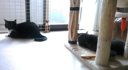 f:id:timshel:20210911195559j:plain