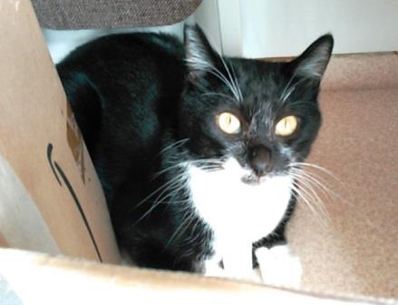 f:id:timshel:20210925195521j:plain