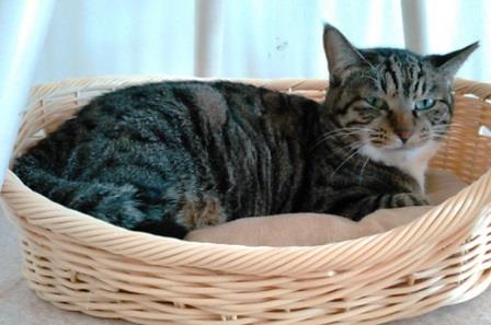 f:id:timshel:20210925195828j:plain