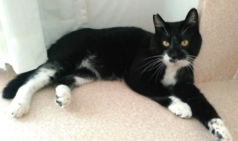 f:id:timshel:20211012193605j:plain