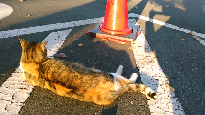 f:id:timshel:20211012222935j:plain