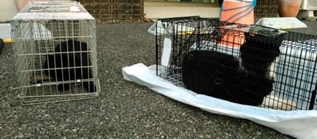 f:id:timshel:20211012233217j:plain