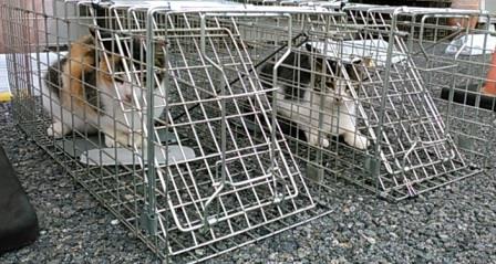 f:id:timshel:20211012233248j:plain